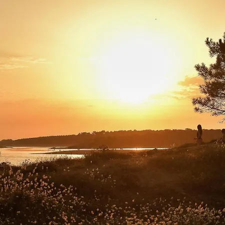 Nyaraló Les Roseaux - Piscine Chauffee Saint-Hilaire-de-Talmont