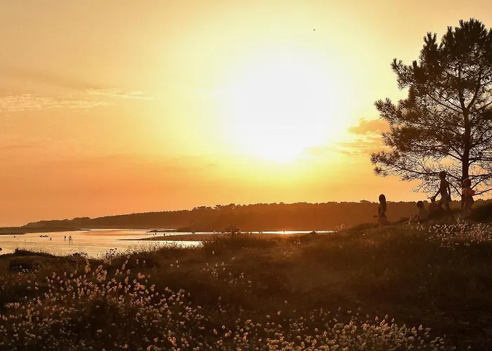 בית נופש Les Roseaux - Piscine Chauffee Saint-Hilaire-de-Talmont